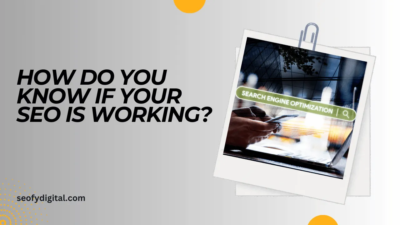 How Do You Know If Your Seo Is Working? (Answered)